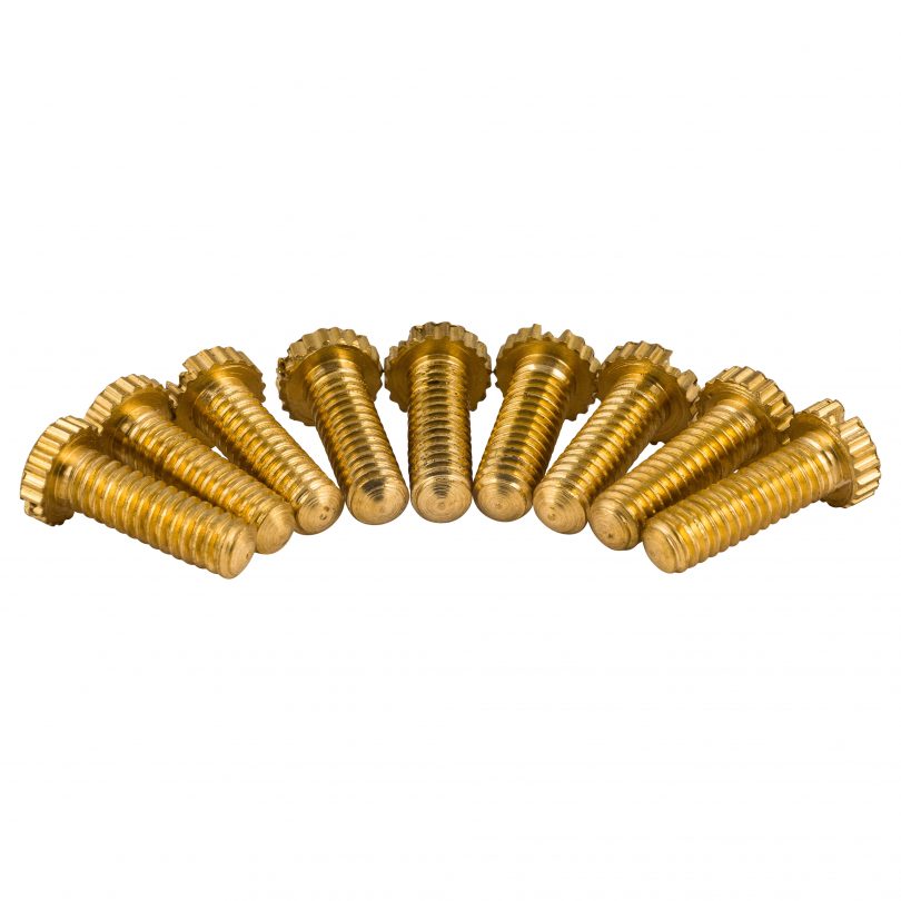 Gallery scerews brass small 150x150