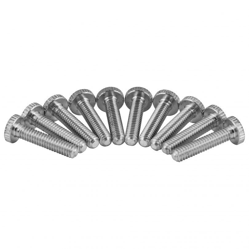 Gallery screws chrome 150x150