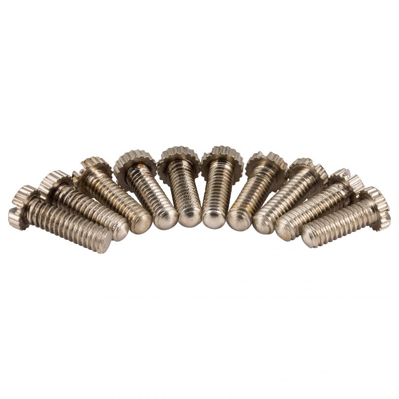 Gallery screws chrome small 150x150